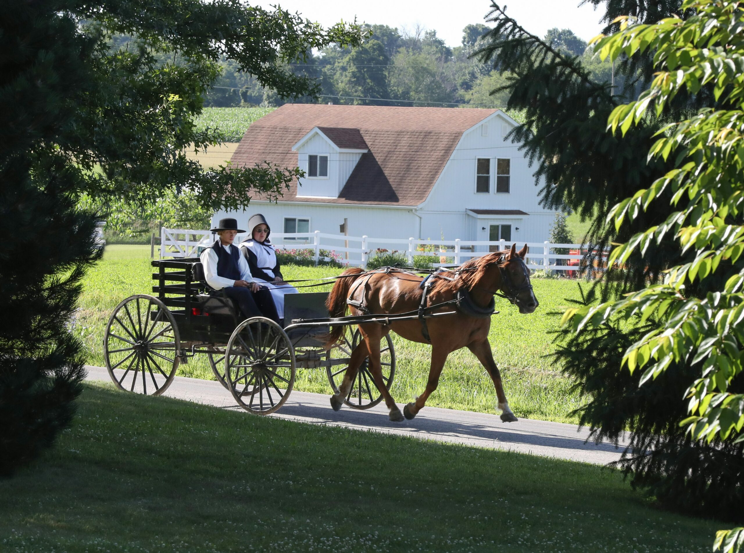 Man Travels Back in Time to Buy Bitcoin at $1, Ends Up in 1793